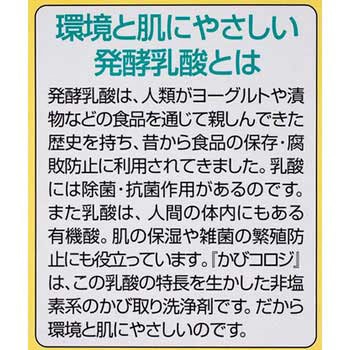 かびコロジ サンデーペイント
