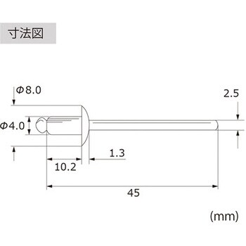 ロブテックス ブラインドリベット 80x140x185mm LSS54 1000本-