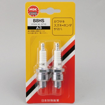 B8HS-2P Xp[NvO(B`) NGK({ꓩ) 58119354