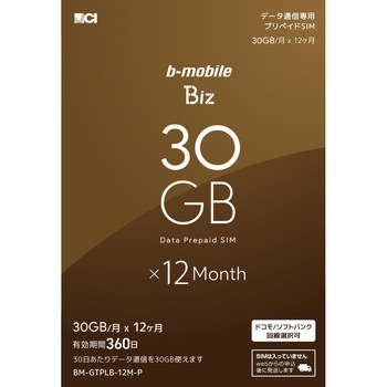 BM-GTPLB-12M-P b-mobile Biz 申込パッケージ 1個 日本通信 【通販