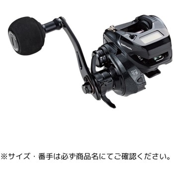 ヴィレイヤー DG テイルウォーク