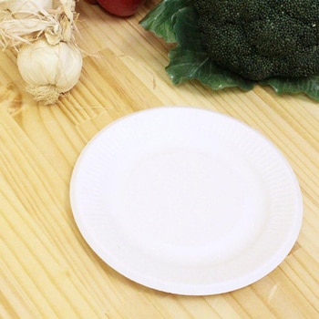ECO さとうきび繊維 プレート 中村