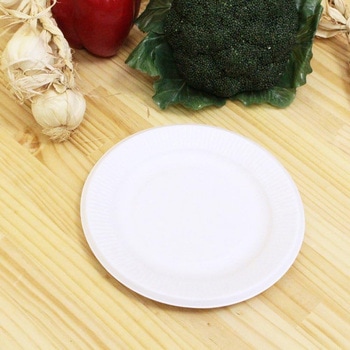 ECO さとうきび繊維 プレート 中村