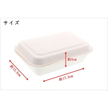 ECO さとうきび繊維 フードパック 中村