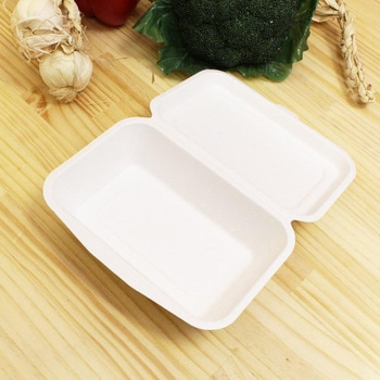 ECO さとうきび繊維 フードパック 中村