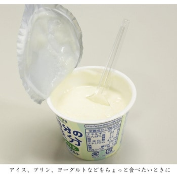 業務用プラスチックデザートスプーン 中村