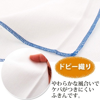ふきん ドビー織り ホワイト 中村