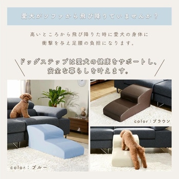 ドッグステップ セルタン