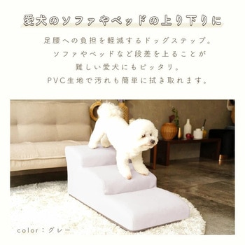 ドッグステップ セルタン