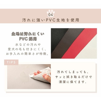 ドッグステップ セルタン