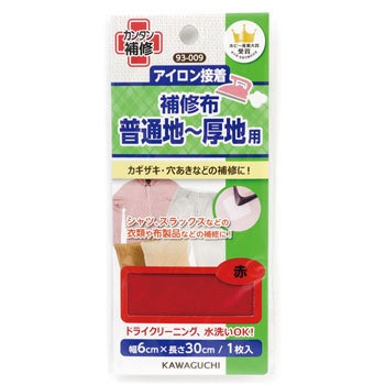 93-009 ACڒEЖ Cz ʒn`np KAWAGUCHI (͌) 58147057