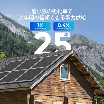 Renogy 175W 12V N型高効率 ソーラーパネル RENOGY JAPAN