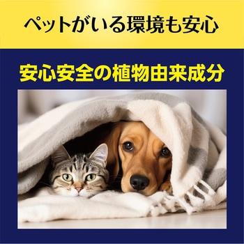 E-バニッシュ 4L 大一産業