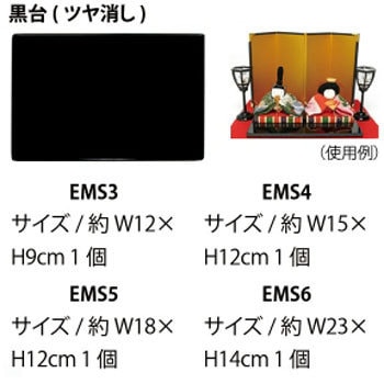 EMS4 () {Rtf 58174025