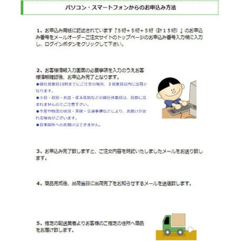 【名入れ】クイックC9 Camila(カーミラ) メールパック(メールオーダー式) ハンコ・印鑑のオーダー サンビー
