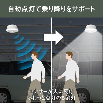 屋外用センサーシーリングライト ライテックス(ムサシ)