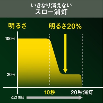 屋外用センサーシーリングライト ライテックス(ムサシ)