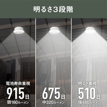 屋外用センサーシーリングライト リモコン付き ライテックス(ムサシ)
