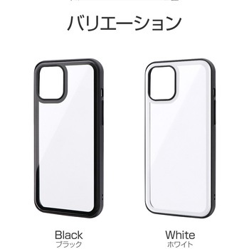 iPhone 12 Pro Max ラウンドエッジガラスシェルケース「SHELL GLASS Round」 指紋防止 ストラップホール付 LEPLUS