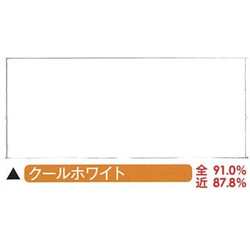 サーモアイ ヤネガード ニッぺ(日本ペイント)