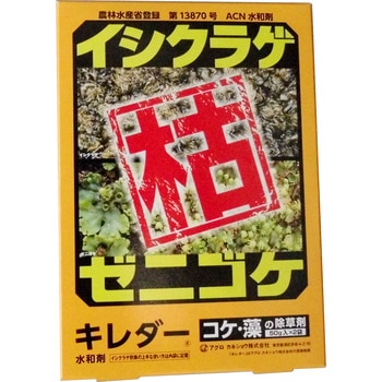 キレダー アグロカネショウ