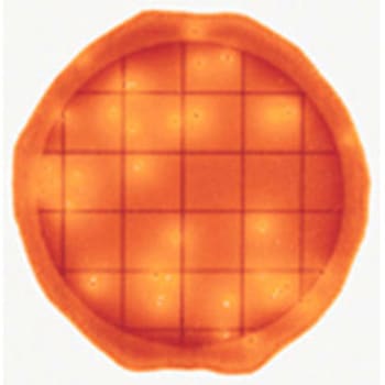 ペトリフィルム(TM)培地(冷蔵) Solventum(ソルベンタム)(旧スリーエム ヘルスケア)