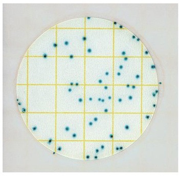 ペトリフィルム(TM)培地(冷蔵) Solventum(ソルベンタム)(旧スリーエム ヘルスケア)