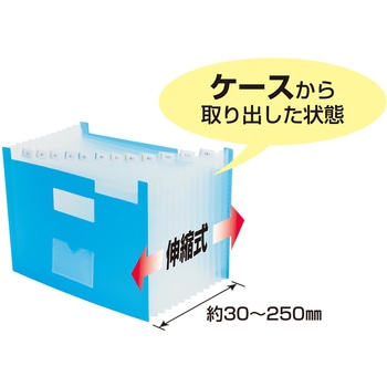 ドキュメントインケース13P ビュートン