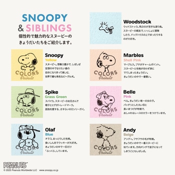 CDノート COLORS OF PEANUTS A6 日本ノート