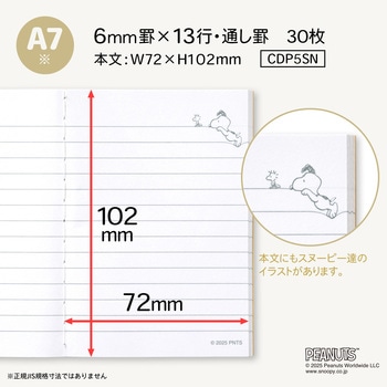 CDノート COLORS OF PEANUTS A7 日本ノート