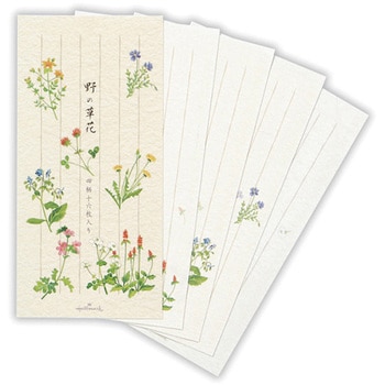 一筆箋 野の草花II 日本ホールマーク