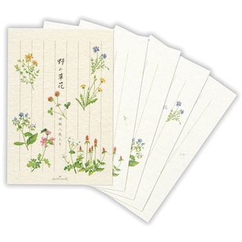 葉書箋 野の草花II 日本ホールマーク