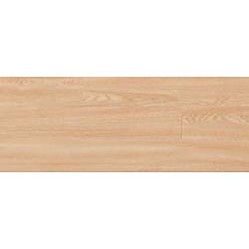 WAA-2001 EbhC ATCY ^W}(c[tBO) 58625761