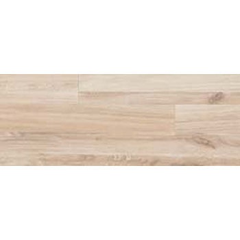 WBA-336 EbhC ATCY ^W}(c[tBO) 02281992