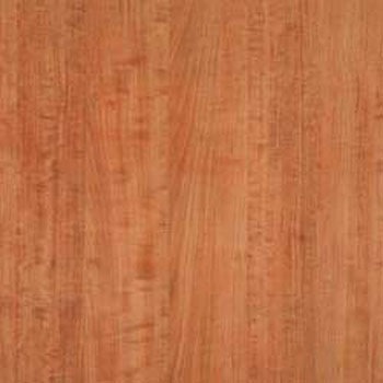 WAE-4407 �E�b�h���C�� E�T�C�Y �^�W�}(�c�����[�t�B���O) 58626477