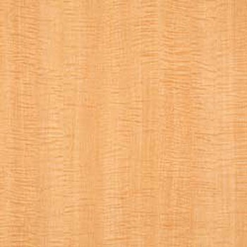 WAE-4665 �E�b�h���C�� E�T�C�Y �^�W�}(�c�����[�t�B���O) 58626495