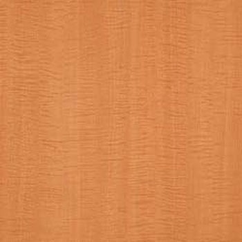 WAE-4666 �E�b�h���C�� E�T�C�Y �^�W�}(�c�����[�t�B���O) 58626504