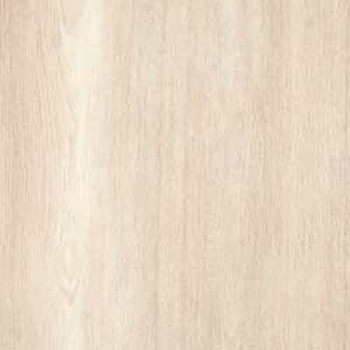 WAE-6013 �E�b�h���C�� E�T�C�Y �^�W�}(�c�����[�t�B���O) 58626531