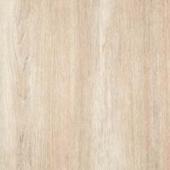 WAE-6014 �E�b�h���C�� E�T�C�Y �^�W�}(�c�����[�t�B���O) 58626547