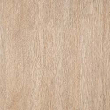 WAE-6015 �E�b�h���C�� E�T�C�Y �^�W�}(�c�����[�t�B���O) 58626556