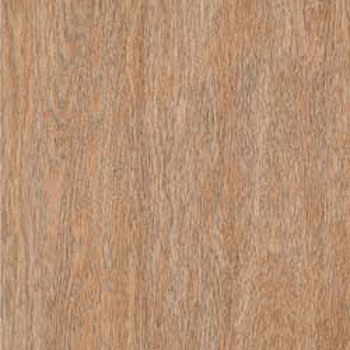 WAE-6016 �E�b�h���C�� E�T�C�Y �^�W�}(�c�����[�t�B���O) 58626565