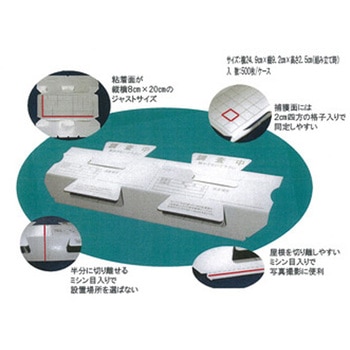 ローチモニターJS SHIMADA