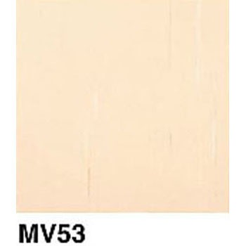 MV53 }`RV  58712684