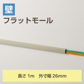 配線カバー 壁用 モール (長さ1m×幅26mm) フラット 配線隠し ケーブルカバー 設置用テープ付き エレコム