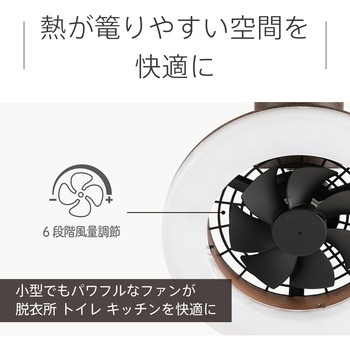 UZUKAZEminiLEDファンシーリング スワン電器