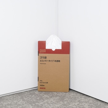 ゴミ袋 エコノミータイプ モノタロウ