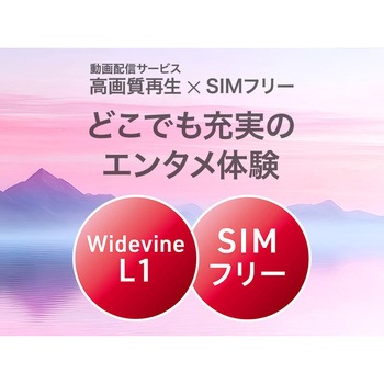 aiwa tab AS11L-2 Android15 10.95型タブレット aiwa(アイワ)