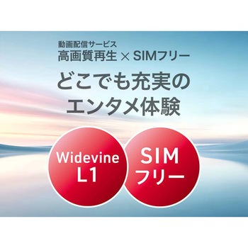 aiwa tab AS8L-2 Android 15 8.68型タブレット aiwa(アイワ)