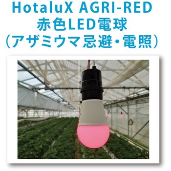 アザミウマ忌避・電照用赤色LED電球 HotaluX(ホタルクス)