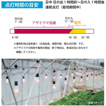 アザミウマ忌避・電照用赤色LED電球 HotaluX(ホタルクス)